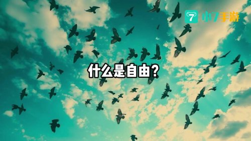 是你要的自由